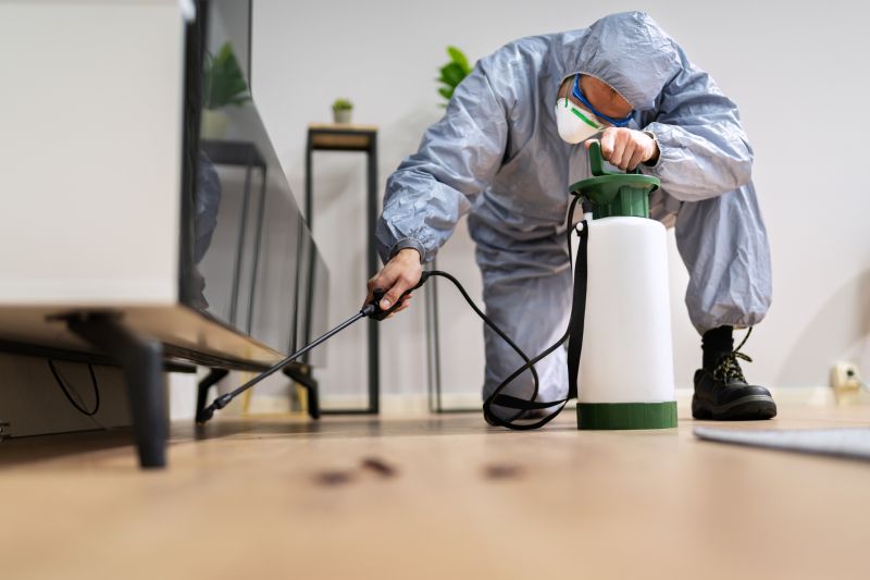 Pest Treatment Service in Katy, TX