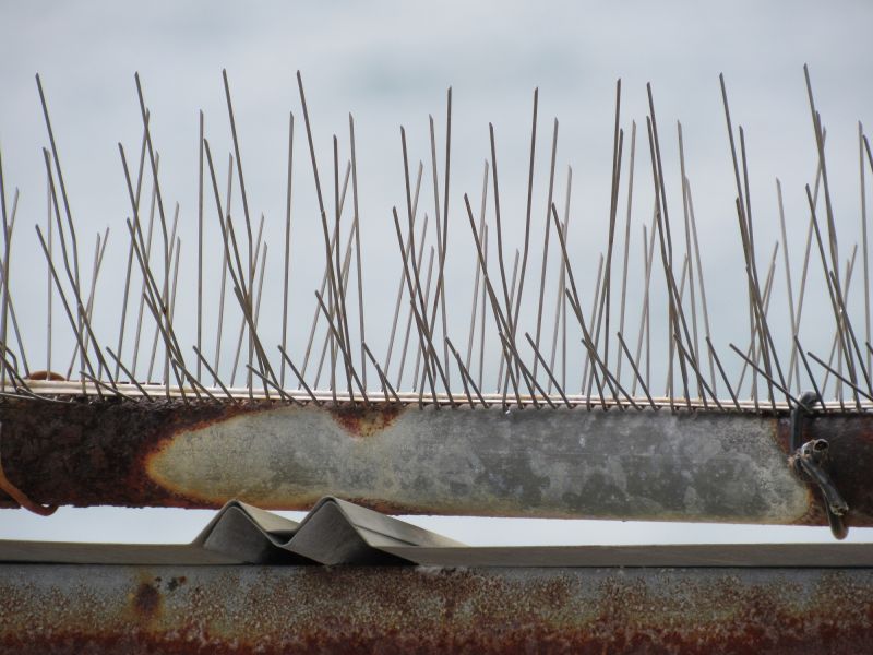 Tools You Actually Need