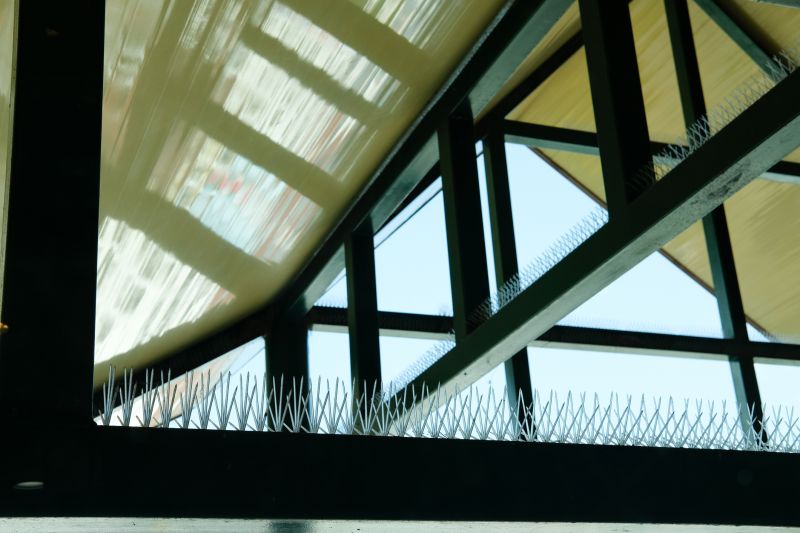 High-Quality Bird Spike Materials