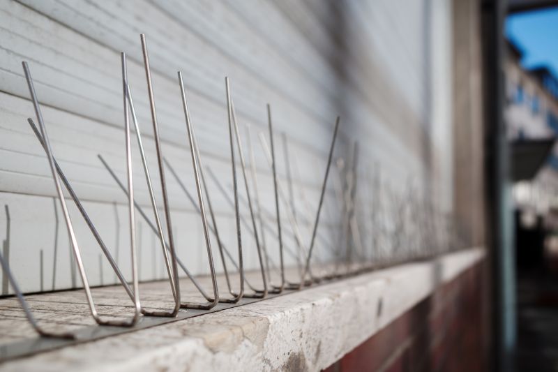 Bird Spikes on Building Corners