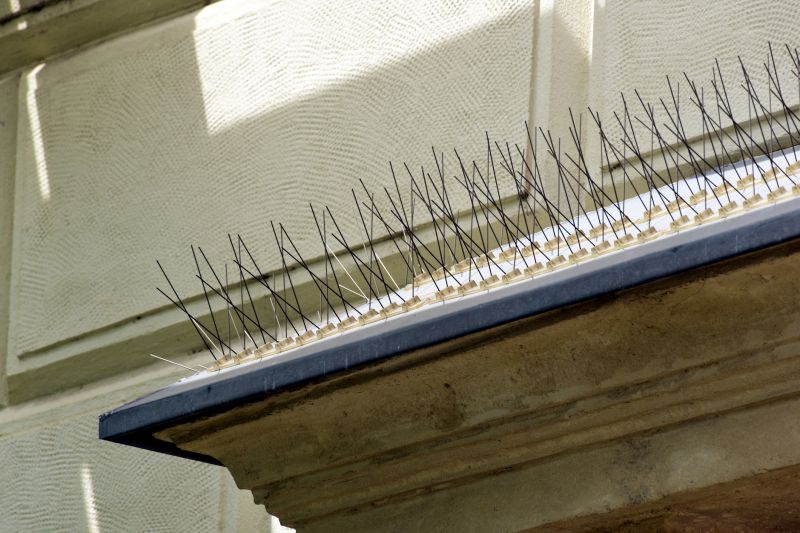 Finished Bird Spike System on Building Cornice