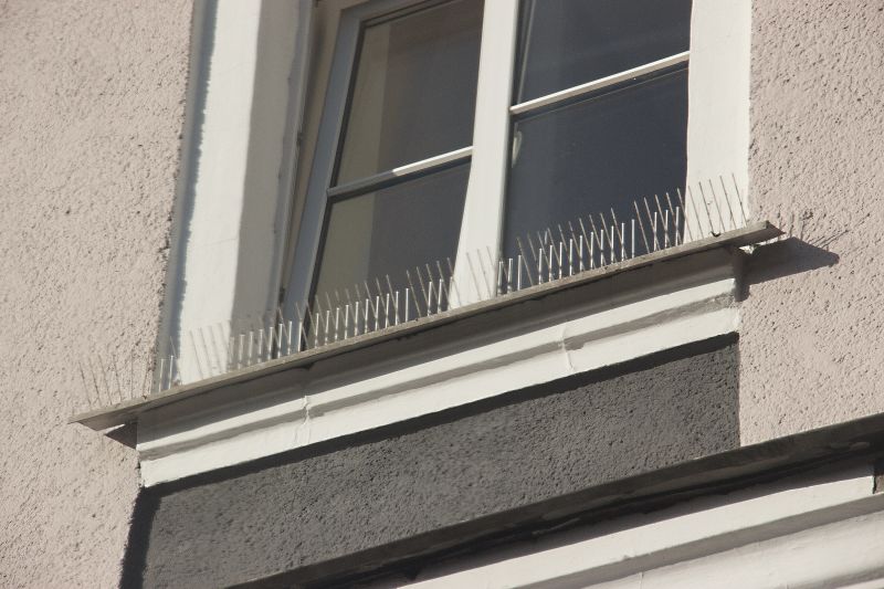 Bird Spike Installation on Commercial Window Sill