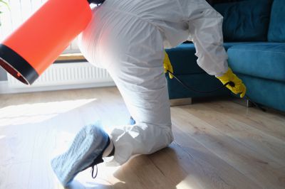 Pest Fumigation Service in Katy, TX