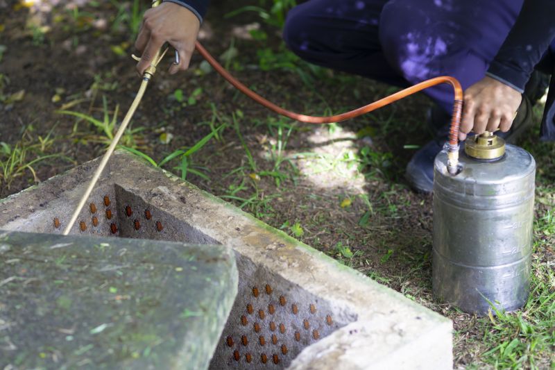 Pest Fumigation Service in Katy, TX