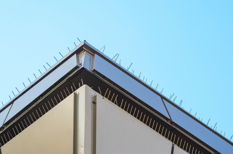 Preserve Your Property Aesthetics