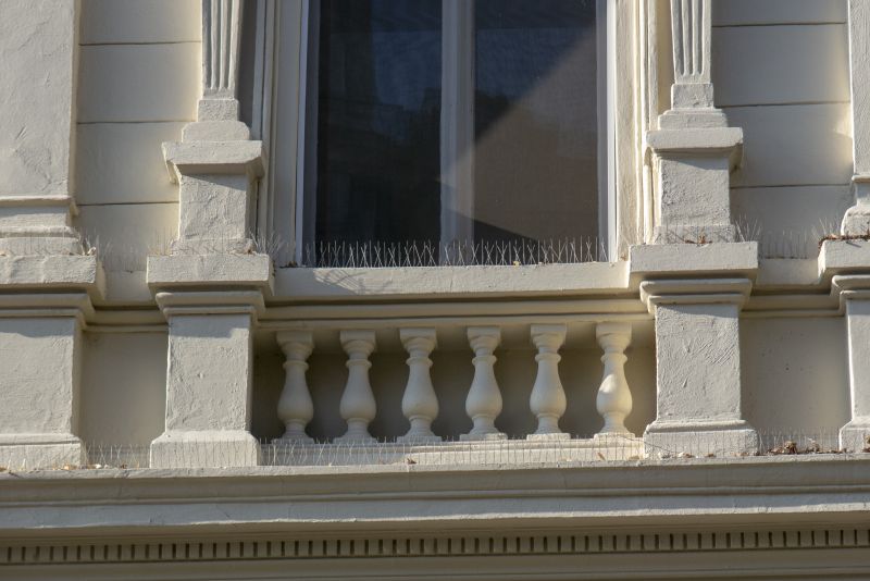 Protect Your Property